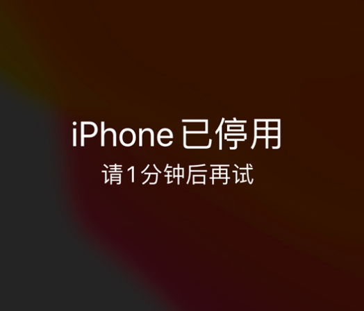 曲松苹果手机维修分享:iPhone 显示“不可用”或“已停用”怎么办？还能保留数据吗？ 