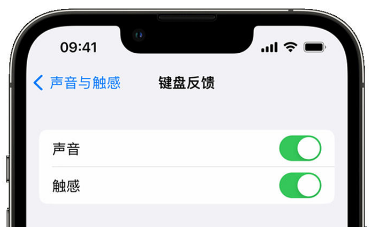 曲松苹果手机维修分享iPhone 14触感键盘使用方法 