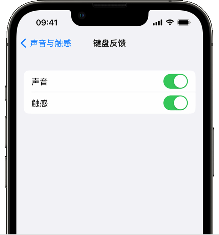 曲松苹果14维修店分享如何在 iPhone 14 机型中使用触感键盘 