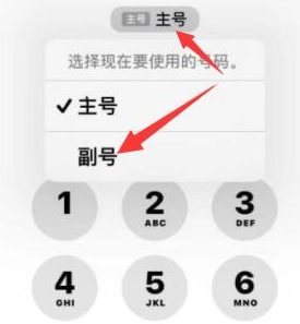 曲松苹果14维修店分享iPhone 14 Pro Max使用副卡打电话的方法 