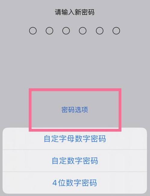 曲松苹果14维修分享iPhone 14plus设置密码的方法 