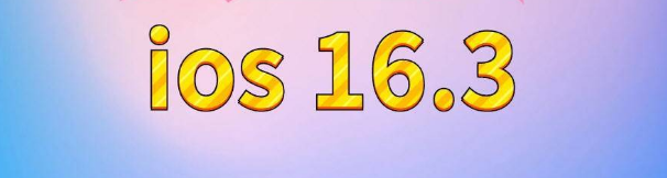 曲松苹果服务网点分享苹果iOS16.3升级反馈汇总 