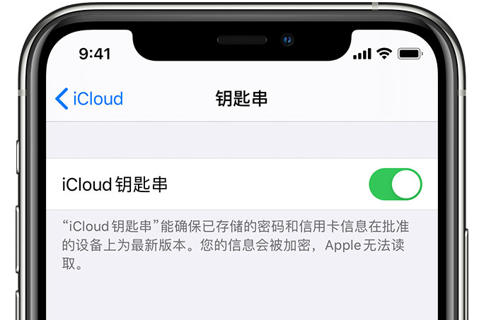 曲松苹果手机维修分享在 iPhone 上开启 iCloud 钥匙串之后会储存哪些信息 