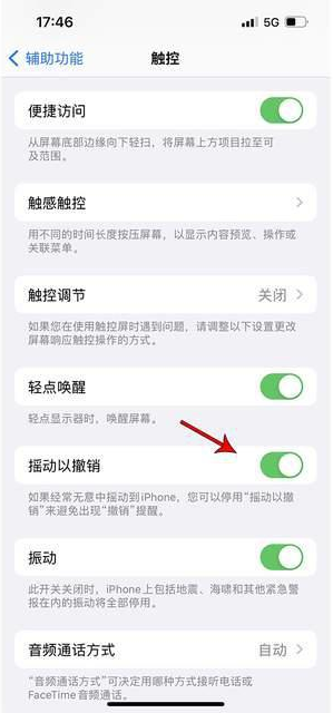 曲松苹果手机维修分享iPhone手机如何设置摇一摇删除文字 